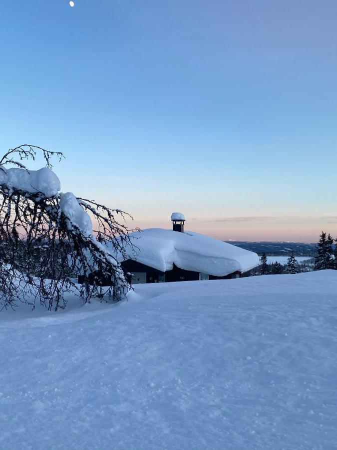 Cabin In The Mountain, Outstanding View & Solar Energy Vollen Kültér fotó