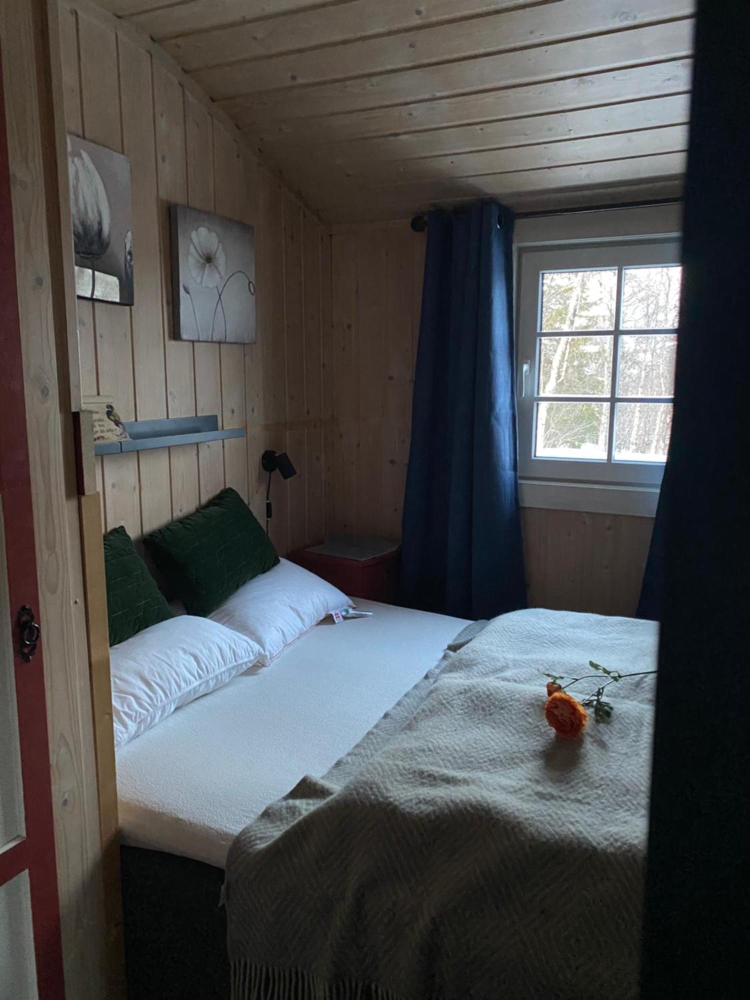 Cabin In The Mountain, Outstanding View & Solar Energy Vollen Kültér fotó